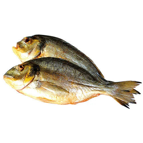 5ee31b29ee92ff1146f5365dcbea6953 Główne zdjęcie produktu