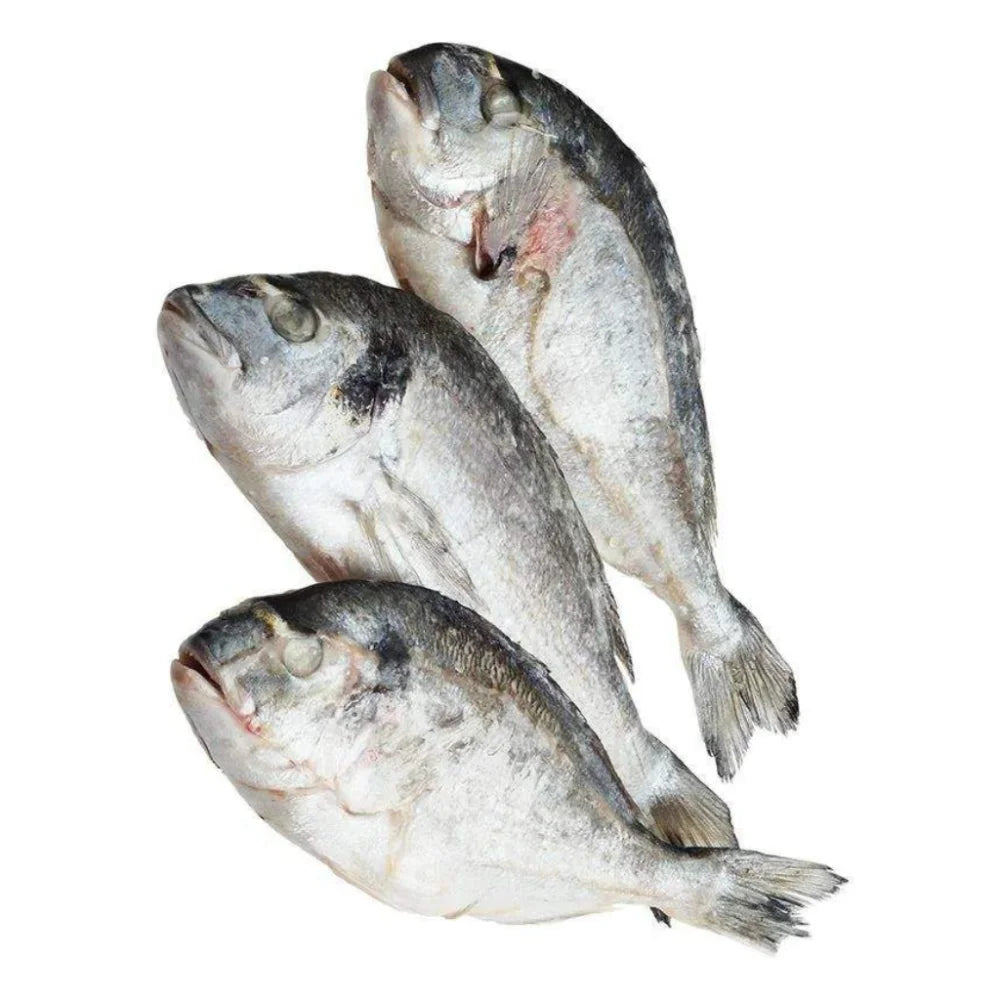 331c2c1cb9af01f9e07fce91ed9f4a8e Główne zdjęcie produktu